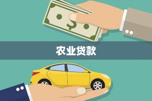 丰顺农业贷款