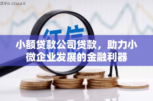 丰顺小额贷款公司贷款，助力小微企业发展的金融利器