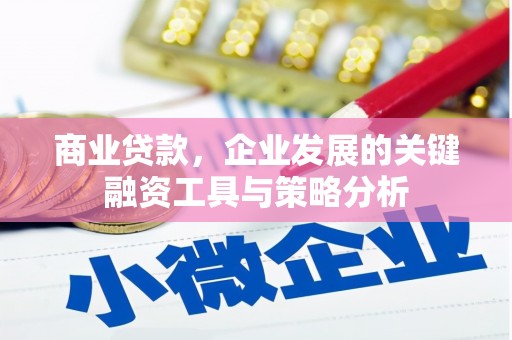丰顺商业贷款，企业发展的关键融资工具与策略分析