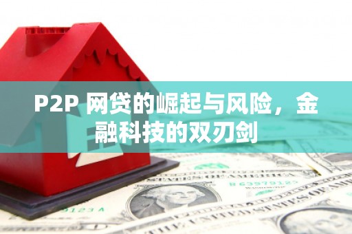 丰顺P2P 网贷的崛起与风险，金融科技的双刃剑