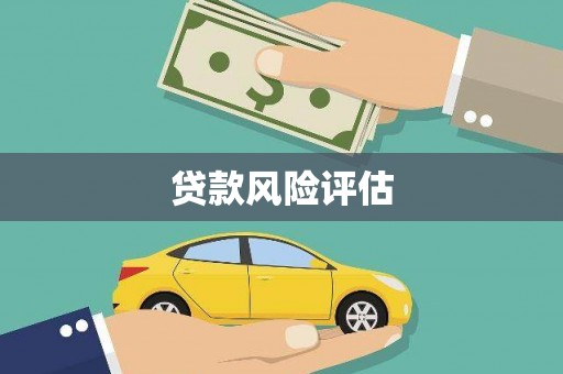 丰顺贷款风险评估