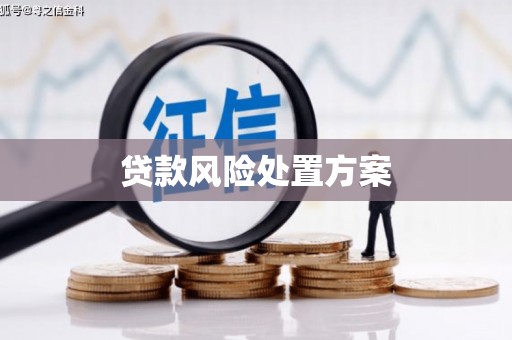 丰顺贷款风险处置方案