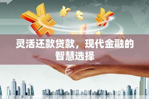 丰顺灵活还款贷款，现代金融的智慧选择