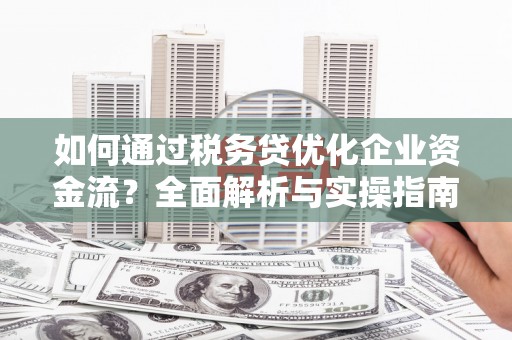 丰顺如何通过税务贷优化企业资金流？全面解析与实操指南