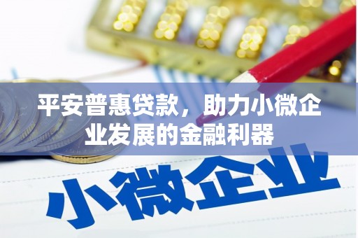 丰顺平安普惠贷款，助力小微企业发展的金融利器