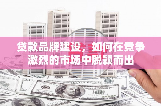 丰顺贷款品牌建设，如何在竞争激烈的市场中脱颖而出