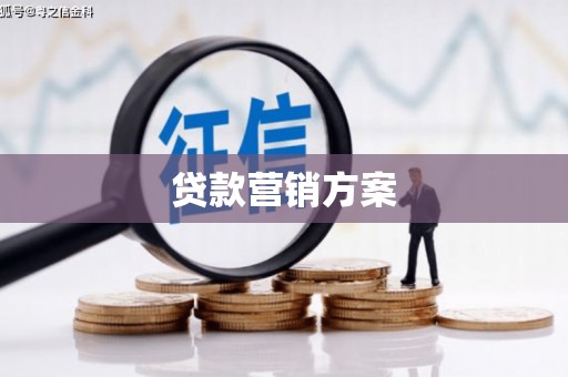 丰顺贷款营销方案
