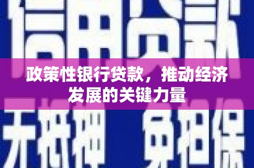 丰顺政策性银行贷款，推动经济发展的关键力量