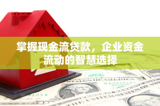 丰顺掌握现金流贷款，企业资金流动的智慧选择
