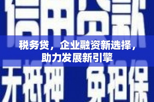 丰顺税务贷，企业融资新选择，助力发展新引擎