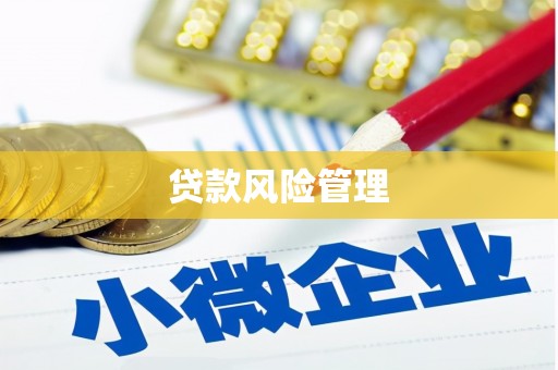 丰顺贷款风险管理