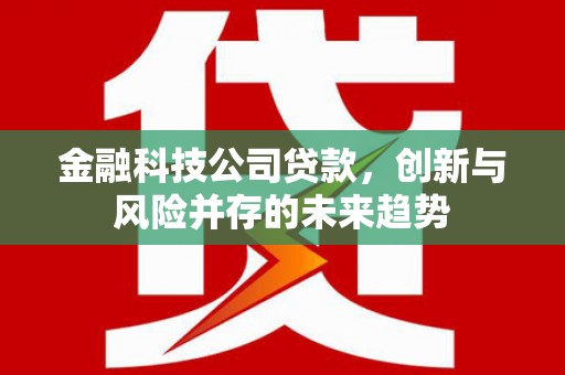 丰顺金融科技公司贷款，创新与风险并存的未来趋势