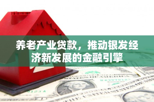 丰顺养老产业贷款，推动银发经济新发展的金融引擎