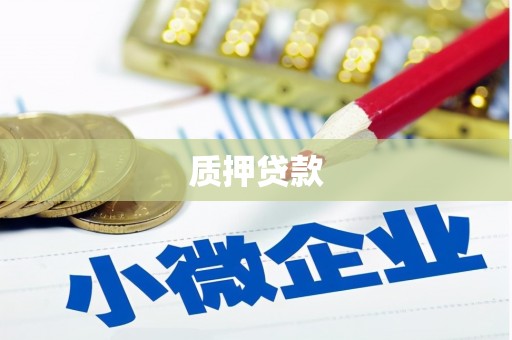 丰顺质押贷款