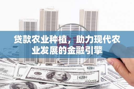 丰顺贷款农业种植，助力现代农业发展的金融引擎