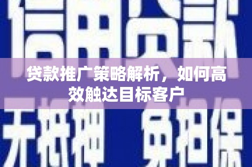 丰顺贷款推广策略解析，如何高效触达目标客户