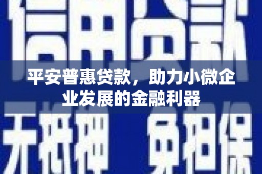 丰顺平安普惠贷款，助力小微企业发展的金融利器
