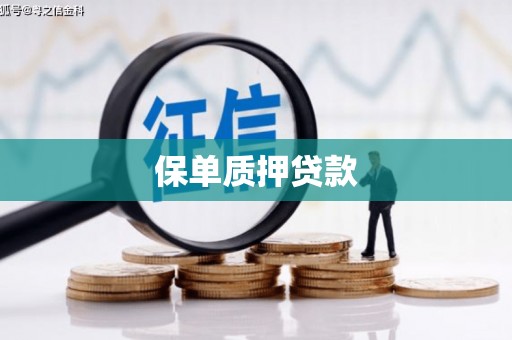 丰顺保单质押贷款