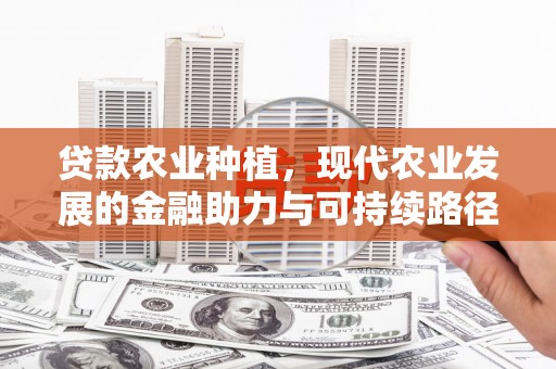 丰顺贷款农业种植，现代农业发展的金融助力与可持续路径
