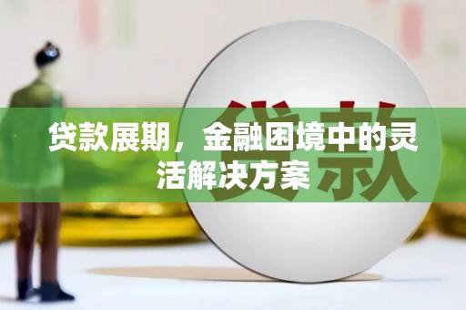 丰顺贷款展期，金融困境中的灵活解决方案