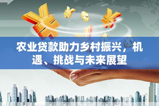 丰顺农业贷款助力乡村振兴，机遇、挑战与未来展望