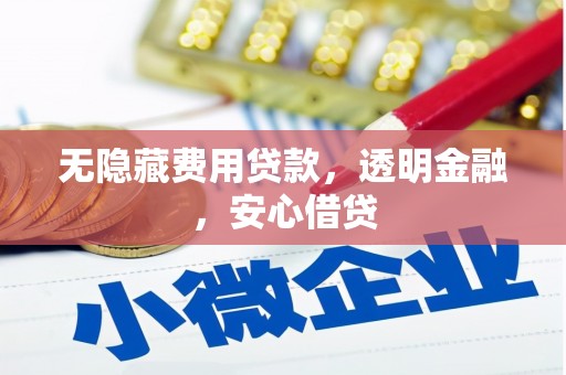 丰顺无隐藏费用贷款，透明金融，安心借贷
