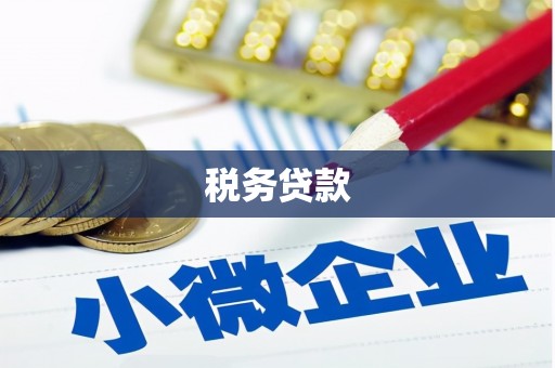 丰顺税务贷款