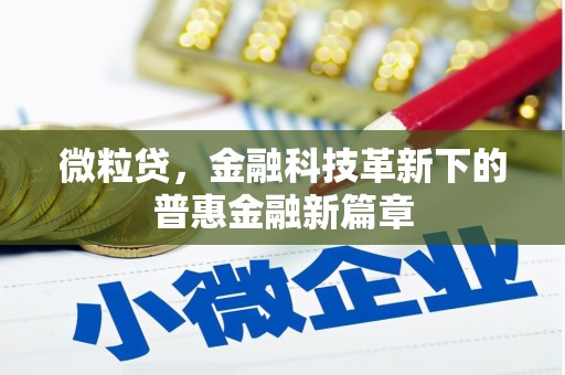 丰顺微粒贷，金融科技革新下的普惠金融新篇章