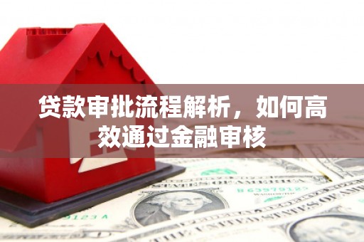 丰顺贷款审批流程解析，如何高效通过金融审核