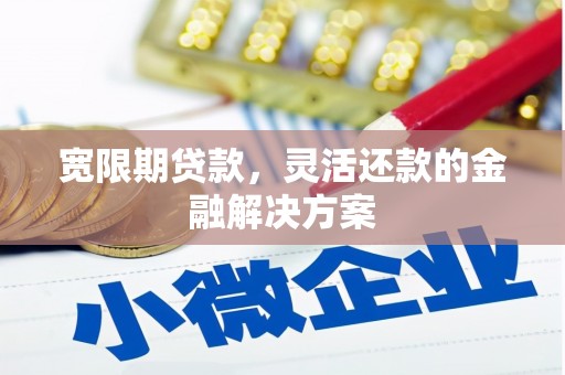 丰顺宽限期贷款，灵活还款的金融解决方案