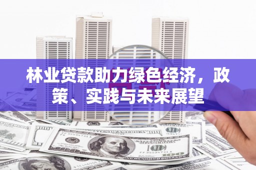 丰顺林业贷款助力绿色经济，政策、实践与未来展望