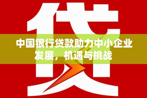 丰顺中国银行贷款助力中小企业发展，机遇与挑战