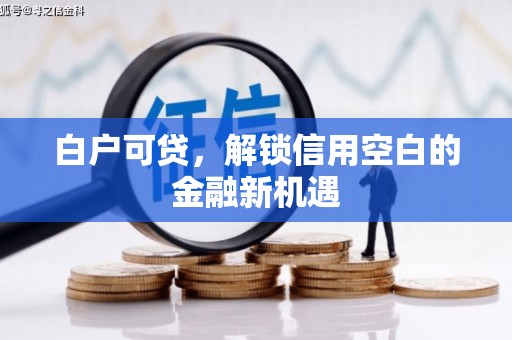 丰顺白户可贷，解锁信用空白的金融新机遇