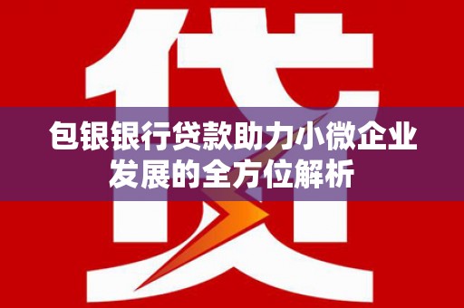 丰顺包银银行贷款助力小微企业发展的全方位解析