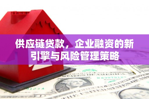 丰顺供应链贷款，企业融资的新引擎与风险管理策略