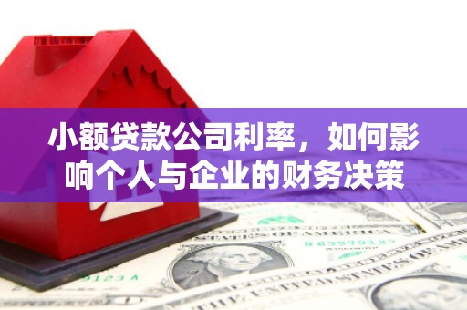 丰顺小额贷款公司利率，如何影响个人与企业的财务决策