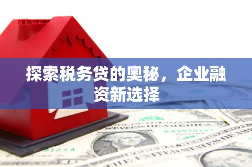 丰顺探索税务贷的奥秘，企业融资新选择