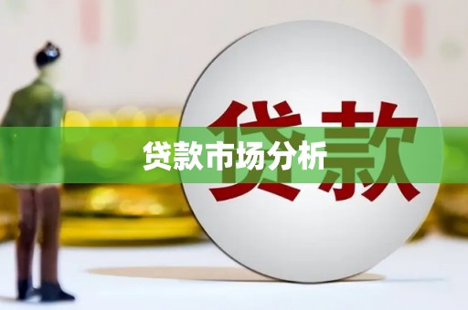 丰顺贷款市场分析