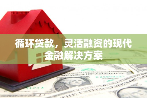 丰顺循环贷款，灵活融资的现代金融解决方案