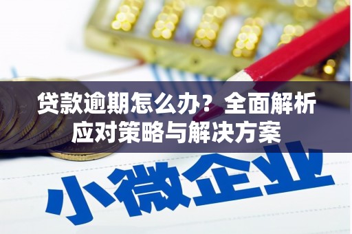 丰顺贷款逾期怎么办？全面解析应对策略与解决方案