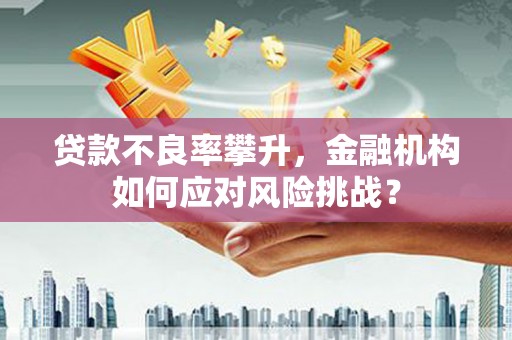 丰顺贷款不良率攀升，金融机构如何应对风险挑战？