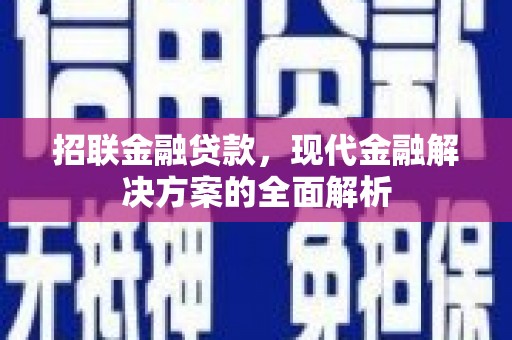 丰顺招联金融贷款，现代金融解决方案的全面解析