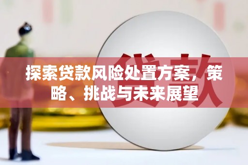 丰顺探索贷款风险处置方案，策略、挑战与未来展望