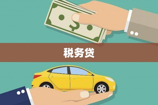 丰顺税务贷