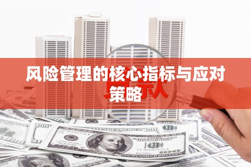 丰顺风险管理的核心指标与应对策略