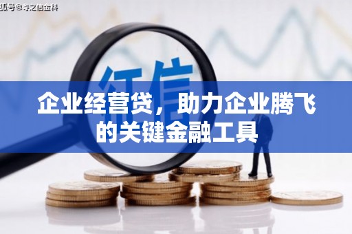 丰顺企业经营贷，助力企业腾飞的关键金融工具