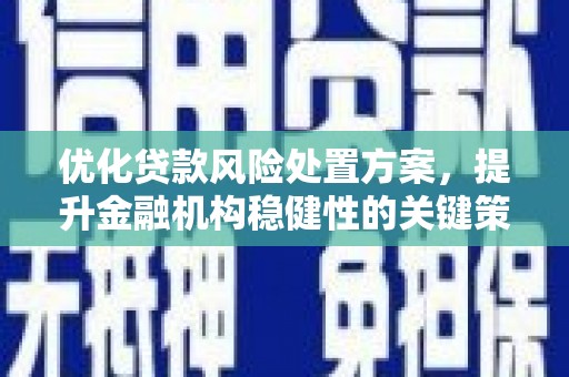 丰顺优化贷款风险处置方案，提升金融机构稳健性的关键策略
