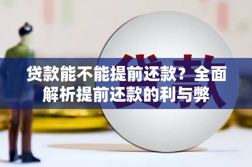 丰顺贷款能不能提前还款？全面解析提前还款的利与弊