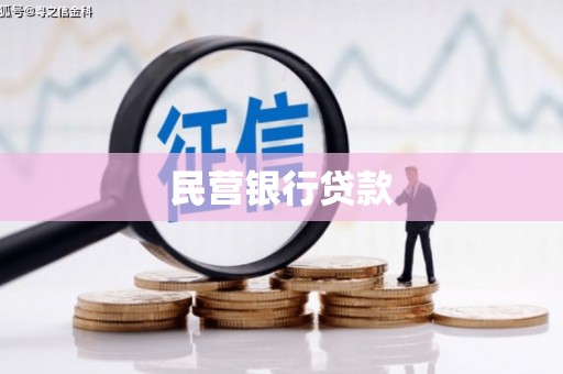 丰顺民营银行贷款