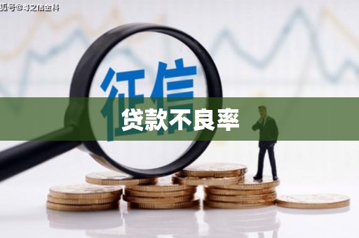丰顺贷款不良率